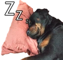 Sleeping_dog emote