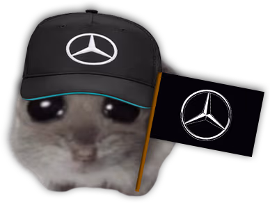 goMER emote