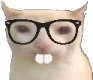 NerdCat emote