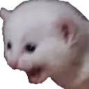 catScream emote