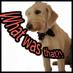 What_was_that emote