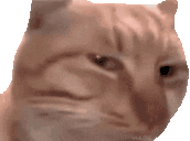 susCat