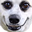 dogolacloser emote