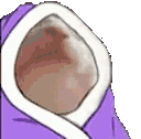 catJAMBLANKET animated emote