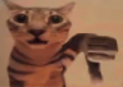 nokak emote