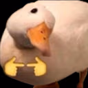 duckPls emote