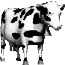 CowFlip emote