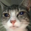 CE_PlsReply emoji