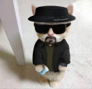 Heisencat emote