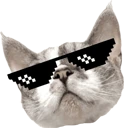 cool_huchu emote