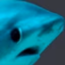 sharkgasp emote
