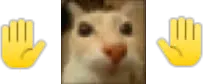 mybad emote