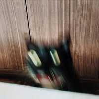 blurcat static emote