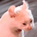 CE_Gritito emote