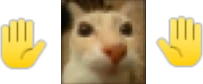 mybad emote