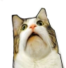 Uwat emote