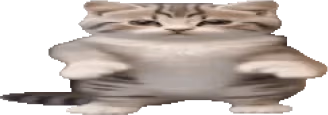nodans emote