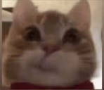 oop emote