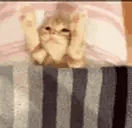 Tuck emote