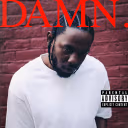 damn emote