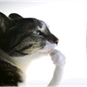 hmm emote