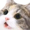CE_Wowww emote