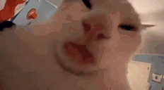 CatLick emote