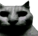 uncannyCat emote