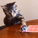 HESALLIN emote