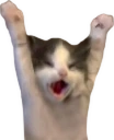 HELP emote