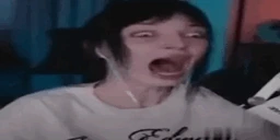 AA emote