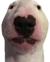 walter emote