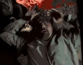 waltSCHIZO emote