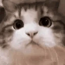 NODDERS emote