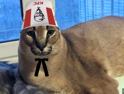 flopper emote