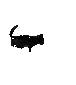 Cat_Explosion_LOL emote