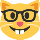 nerdCat emote