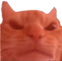 rage emote