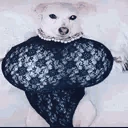 whatthedogdoin emote