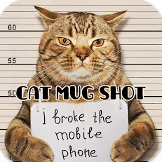 I_broke_the_phone emote