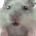 WutHamster animated emote