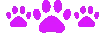 Purplecatpaws emote