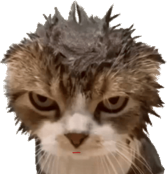 Wet_Cat_Tongue animated emote