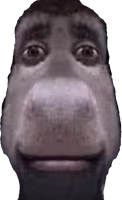 DonkeyStare emote