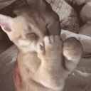 giggle emote
