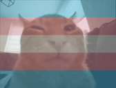 transbuh animated emote