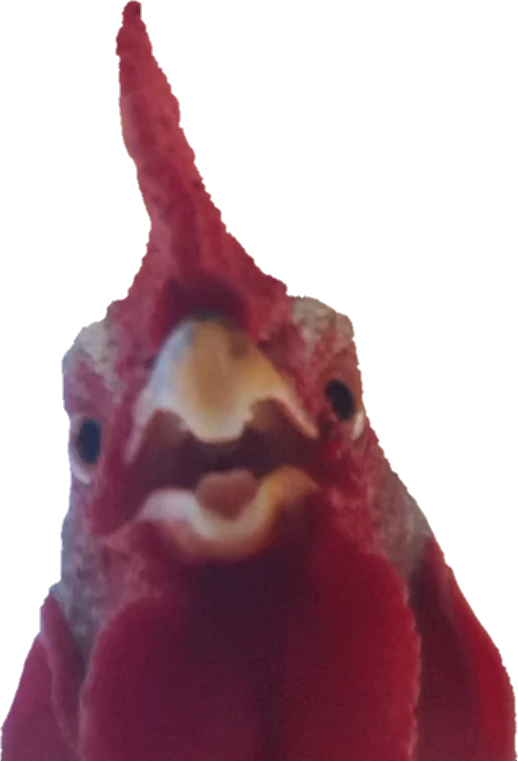 Wtf emote