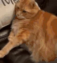 yoink emote