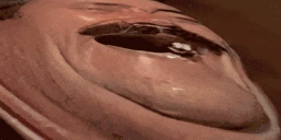 KAAK emote