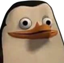 Confused_Private_Penguin emote